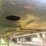 #23993-•-fast-44'-t/a-aluminum-chip-trailer-image-32