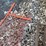 #1885-•-manual-lawn-aerator-and-partial-roll-of-chain-link-fence-image-6