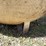 #1889-•-round-propane-tank-image-8