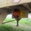 #23993-•-fast-44'-t/a-aluminum-chip-trailer-image-24