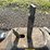 #23977-•-coats-10-10-tire-machine-image-6