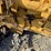 caterpillar-3406-image-18