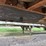 #23995-•-somerset-43'-t/a-aluminum-chip-trailer-vin:-1s94a4821ym00624-image-43
