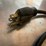 #1856-•-(2)-corded-tools-and-kreg-jig-image-13