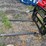 forks-image-3