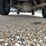 2016-ford-f350-xl-image-23