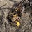 rowse-dbl-9'-sickle-mower-3385-image-9