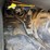 #41358-•-2006-chevrolet-c4500-single-cab-utility-truck-inv#-41358-image-43