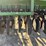 john-deere-455-image-15