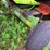 #527-•-ez-trail-header-trailer-image-6