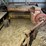 new-holland-273-image-2