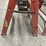 #8602-•-(2)-werner-step-ladders-image-13