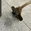 #8546-•-stihl-weed-whip-fs-40c-image-4