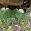 #41749-•-1998-dodge-ram-pickup-vin:-1b7hc16x2ws609690-image-11