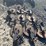 #41280-•-lot-of-planter-parts-inv#-41280-image-7