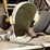 international-cub-image-28