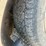 #23967-•-2004-chevrolet-silverado-pickup-vin:-1gcec14x74z216889-image-6