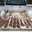 2000-ford-2000-image-13