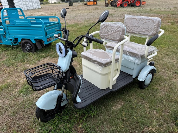 #589-•-electric-tricycle-mini-golf-cart-image-1