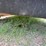 #41749-•-1998-dodge-ram-pickup-vin:-1b7hc16x2ws609690-image-17
