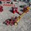 #39818-•-inop-mclane-edger-inv#-39818-image-5