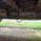#23994-•-spec-tec-52'-t/a-aluminum-chip-trailer-vin:-159wa633195188065-image-30