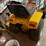 international-cub-image-5