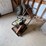 #42111-•-mikasa-mvc-90h-vibratory-compactor-image-2