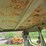 #23990-•-inop-michigan-290-scraper-tractor-dozer-image-42