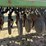 john-deere-455-image-21