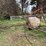 #533-•-12-row-sprayer-image-4