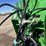 2016-john-deere-l340-image-49