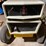 international-cub-image-18