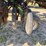 john-deere-455-image-44
