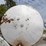 500-gallon-fuel-tank-image-2