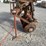 athens-220-image-12