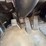 2003-peterbilt-330-image-42