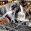 #1848-•-rockwell-circular-saw-and-porter-cable-belt-sander-image-11
