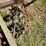 crows-foot-packer-image-5