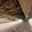 #41744-•-48'-t/a-steel-chip-trailer-image-21