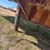 #37057-•-**-37'-t/a-drop-deck-equipment-trailer-inv#-37057-image-17
