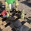 pallet-of-asst-concrete-statues-image-3