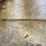 #1875-•-horizontal-metal-cutting-band-saw-image-18