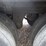 2017-utility-3000r-image-9
