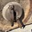 #41904-•-bush-hog-15'-3pt-cutter-inv#-41904-image-5