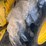 #23986-•-inop-jcb-4x4-backhoe-loader-image-5