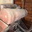 studebaker-buzz-sawrig-image-7