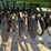 john-deere-455-image-14