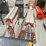 #8602-•-(2)-werner-step-ladders-image-7