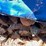 #1890-•-(2)-piles-of-firewood-image-2